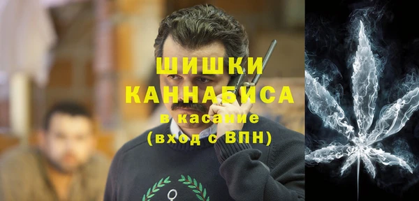 бошки Ладушкин