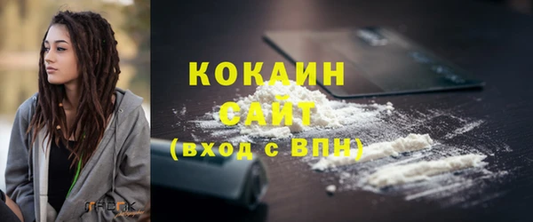 бошки Ладушкин