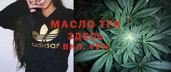 бошки Ладушкин